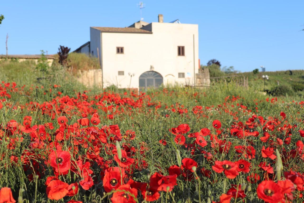 Masseria Agriturismo Moschella Posta Piana Экстерьер фото